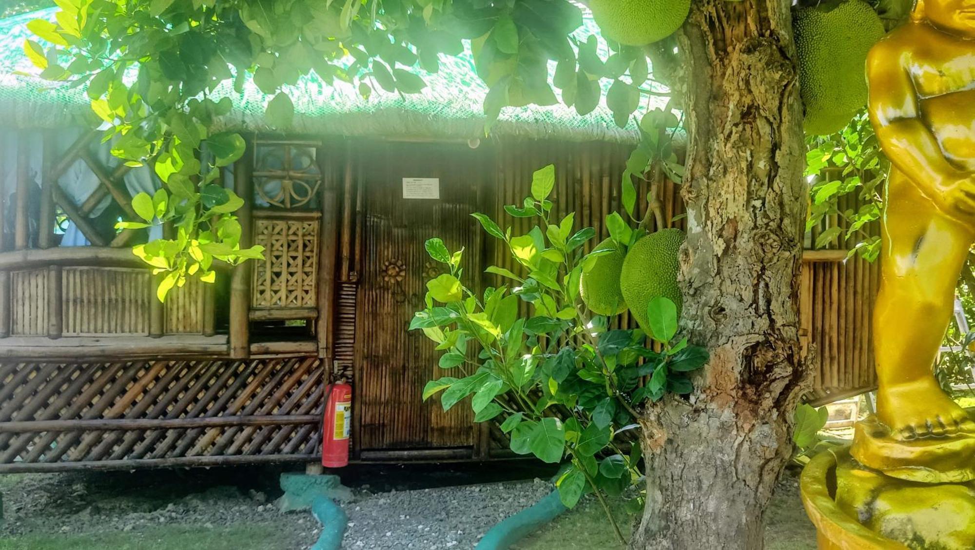 Moalboal Bamboo House / Rooms Ruang foto