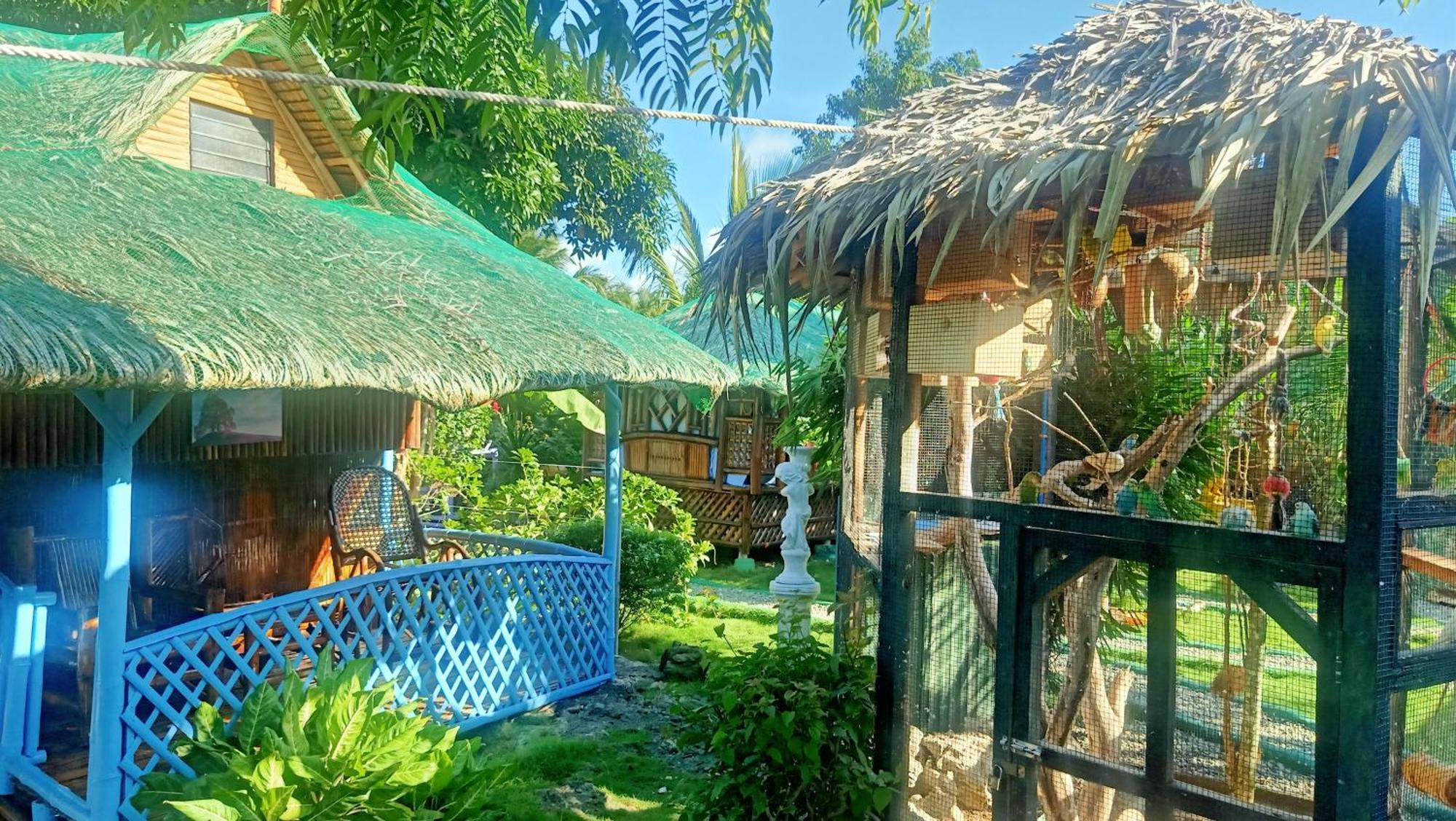 Moalboal Bamboo House / Rooms Ruang foto
