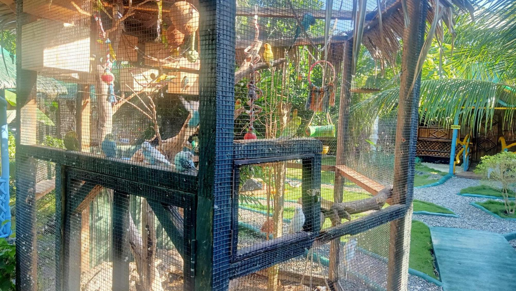Moalboal Bamboo House / Rooms Ruang foto